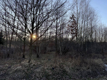 Działka budowlana Rudziniec