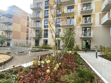 Mieszkanie Łódź sprzedaż