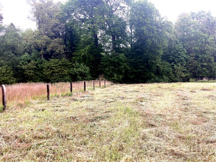 Działka Wisznia Mała