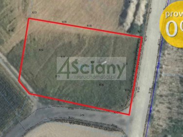 Działka Borki-Paduchy