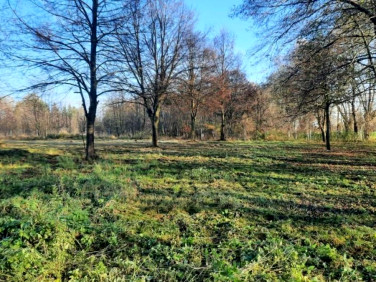 Działka budowlana Chyby