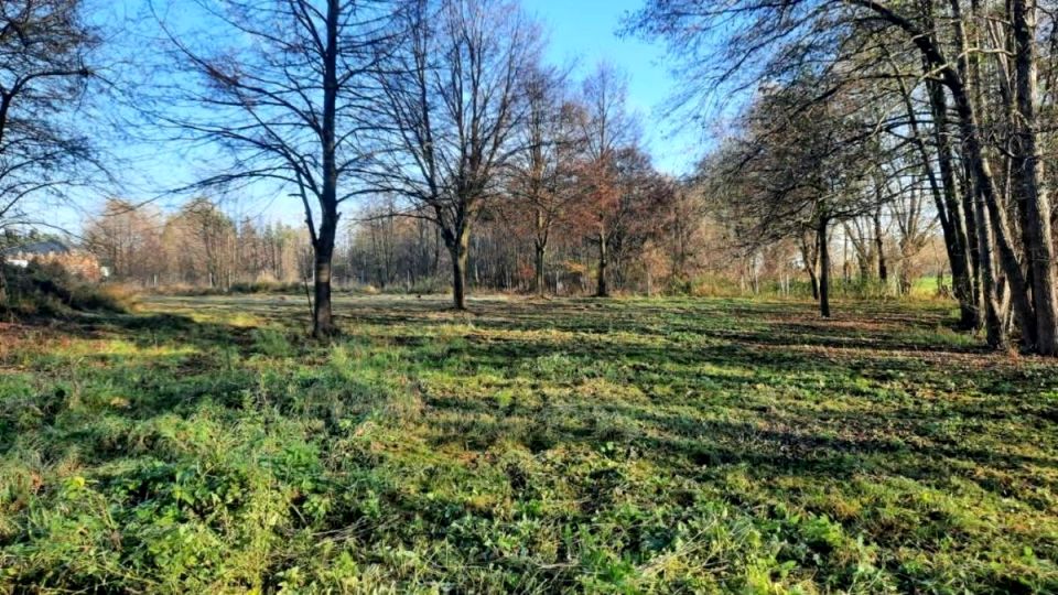 Działka budowlana Chyby