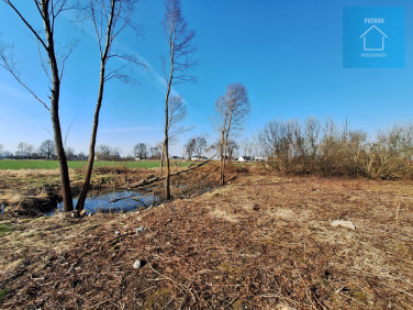 Działka usługowa Cisy