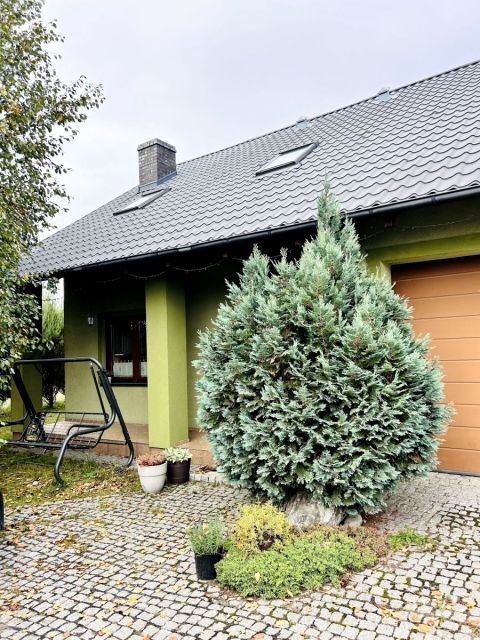 Dom wolnostojący sprzedaż