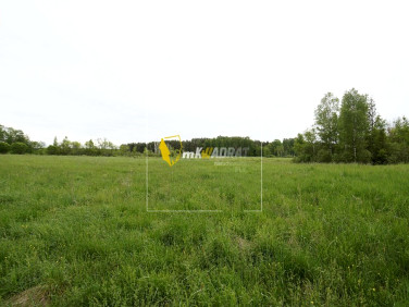 Działka rolna Regiel