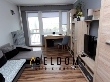 Mieszkanie Konin