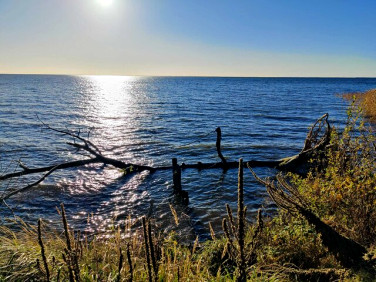 Dom Sułomino sprzedaż