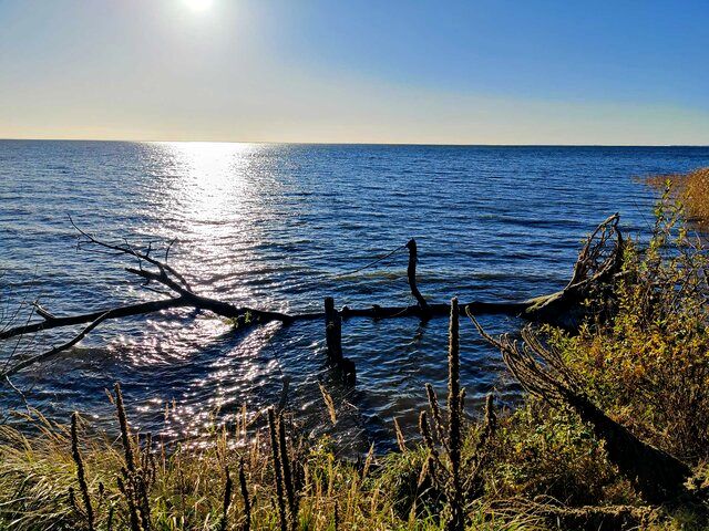 Dom Sułomino sprzedaż