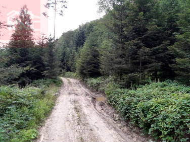 Działka rekreacyjna Klimkówka