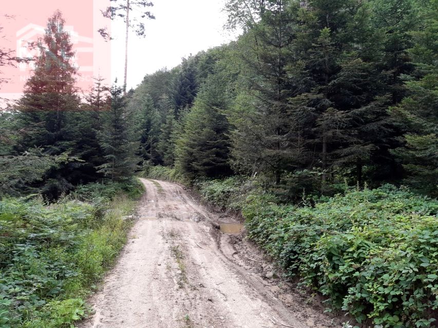 Działka rekreacyjna Klimkówka