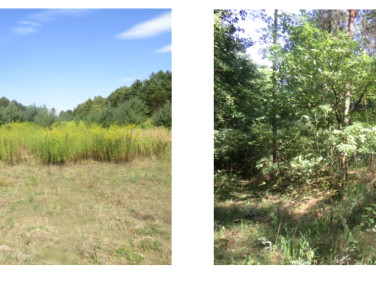 Działka inna Raków