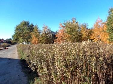 Działka budowlana Warszawa