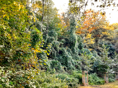 Mieszkanie Wrocław sprzedaż