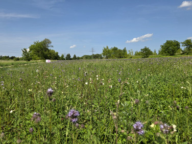 Działka budowlana Czeladź