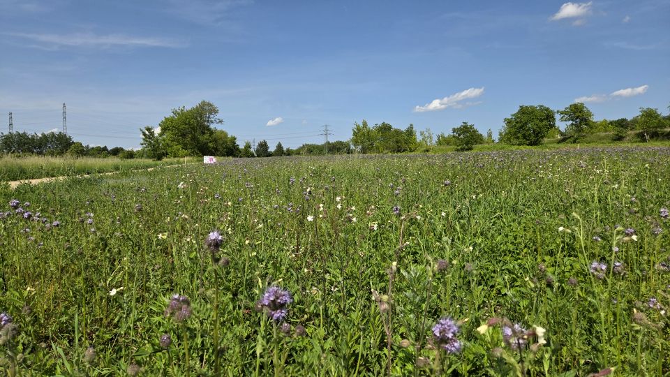 Działka budowlana Czeladź
