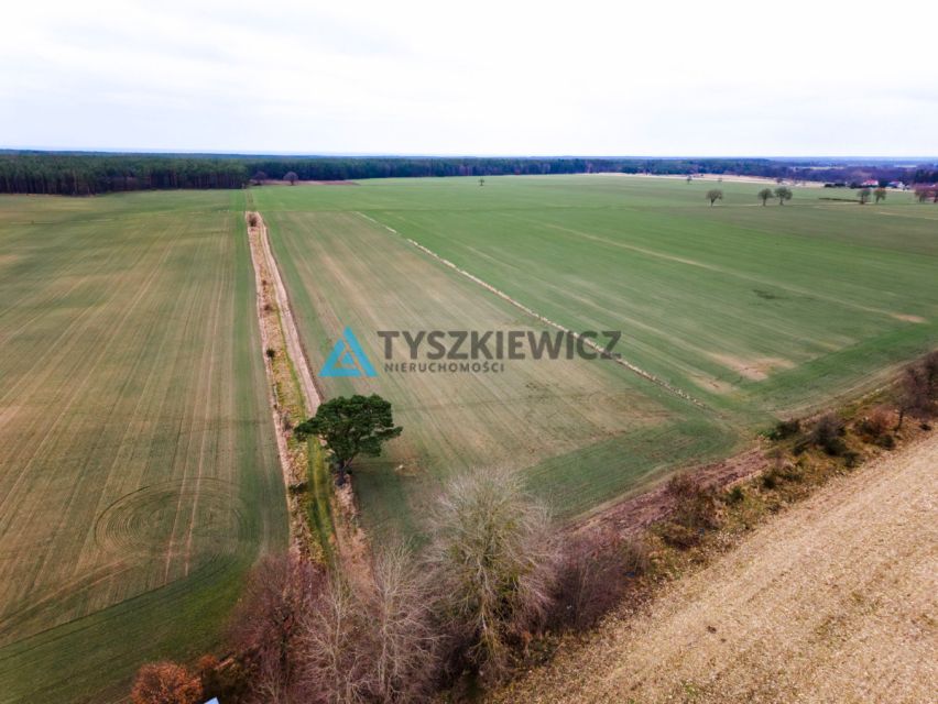 Zdjęcie 3