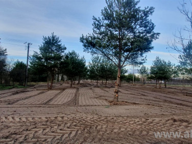 Działka rolna Częstoniew