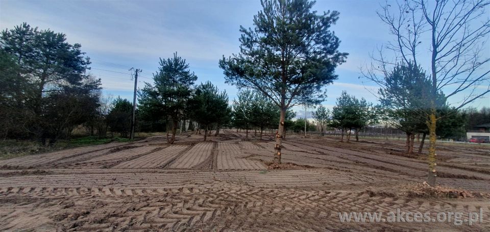 Działka rolna Częstoniew