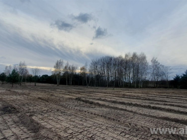Działka rolna Częstoniew