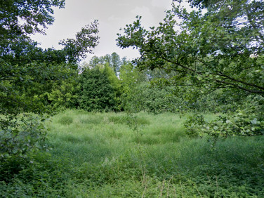 Działka rolna Otrębusy