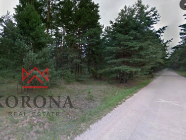 Działka leśna Jaworówka