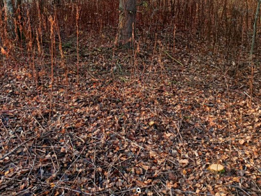 Działka budowlana Radonie