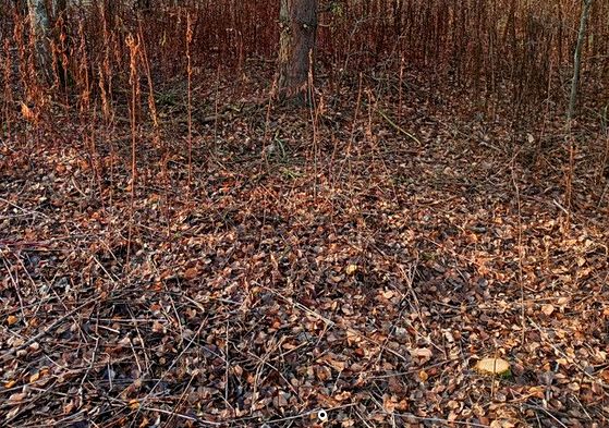 Działka budowlana Radonie