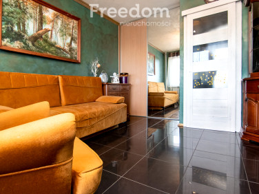 Mieszkanie Chełm sprzedaż