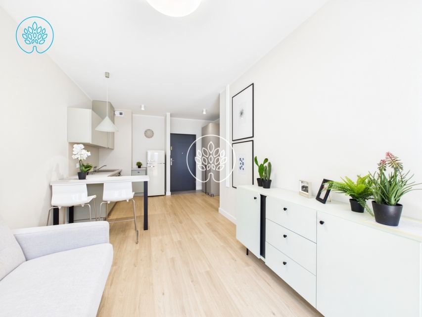 Mieszkanie blok mieszkalny wynajem