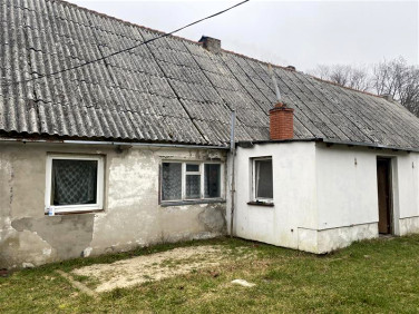 Mieszkanie Kościernica