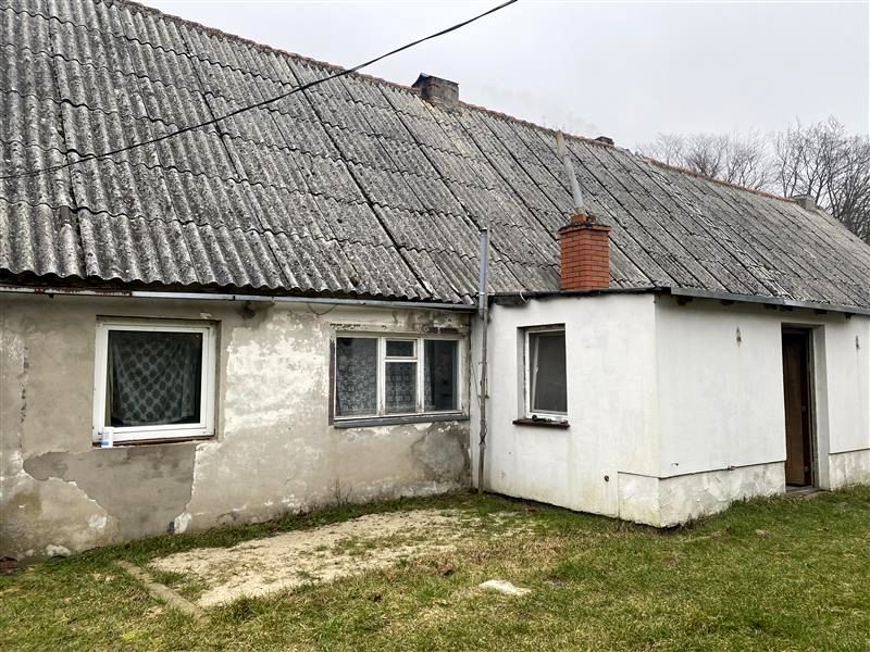 Mieszkanie Kościernica