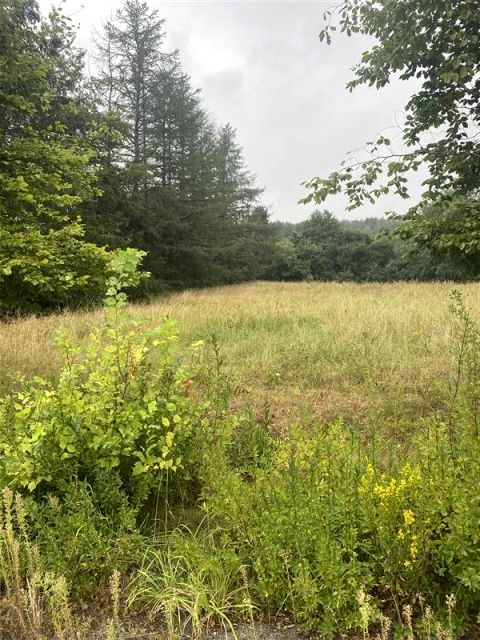 Działka inna Rosnowo