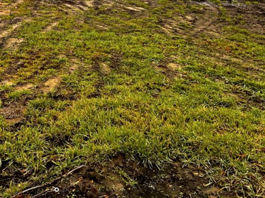 Działka budowlana Stare Budy