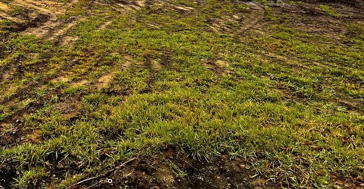 Działka budowlana Stare Budy