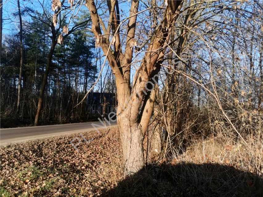 Działka budowlana Budy-Grzybek