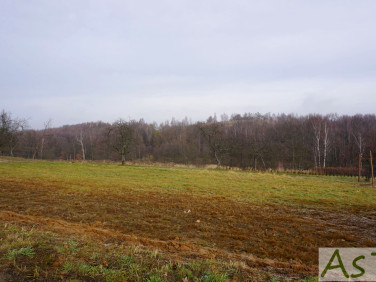 Działka budowlana Zelków sprzedam