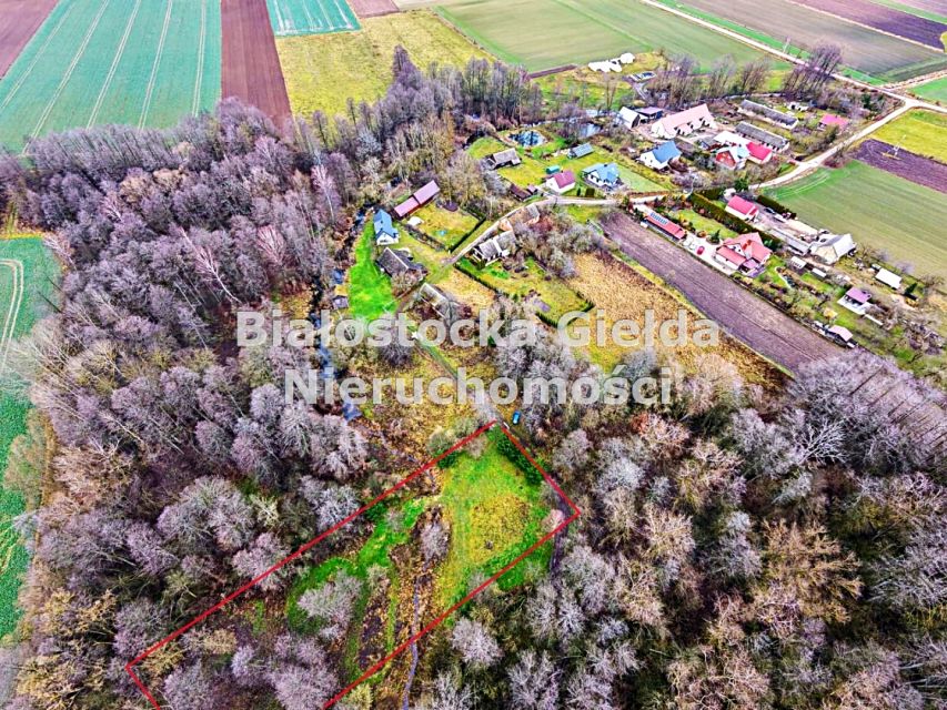 Zalesiona działka Klewinowo