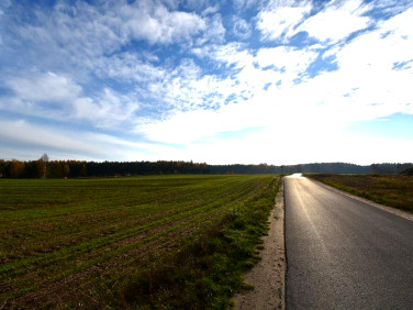 Działka budowlana Gniezno sprzedam