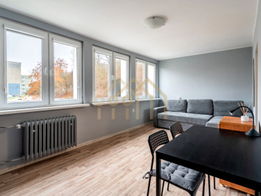 Mieszkanie Gdańsk wynajem