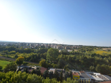 Mieszkanie przy lesie