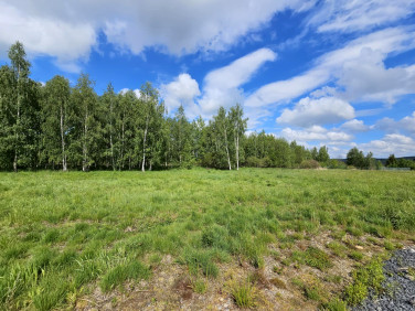 Działka budowlana Stara Kamienica