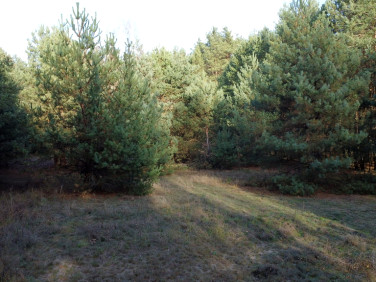 Działka budowlana Leokadia