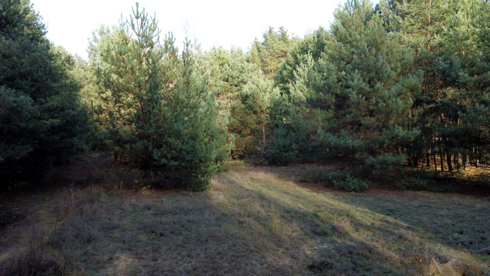 Działka budowlana Leokadia