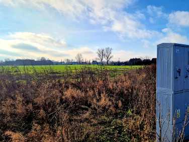 Działka budowlana Kostrzyn