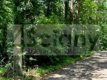 Działka budowlana Sękocin-Las