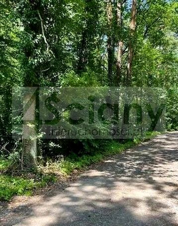 Działka budowlana Sękocin-Las