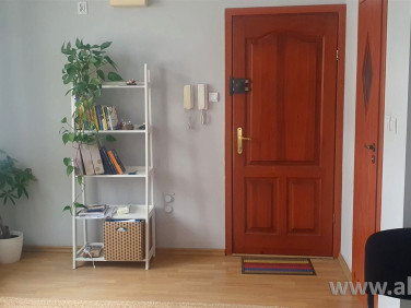 Lokal Piaseczno wynajem