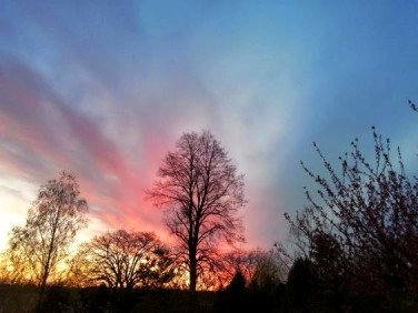 Dom wolnostojący sprzedaż