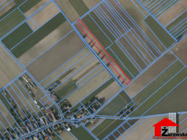 Działka budowlana Centawa