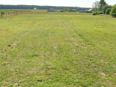 Działka budowlana Prószków